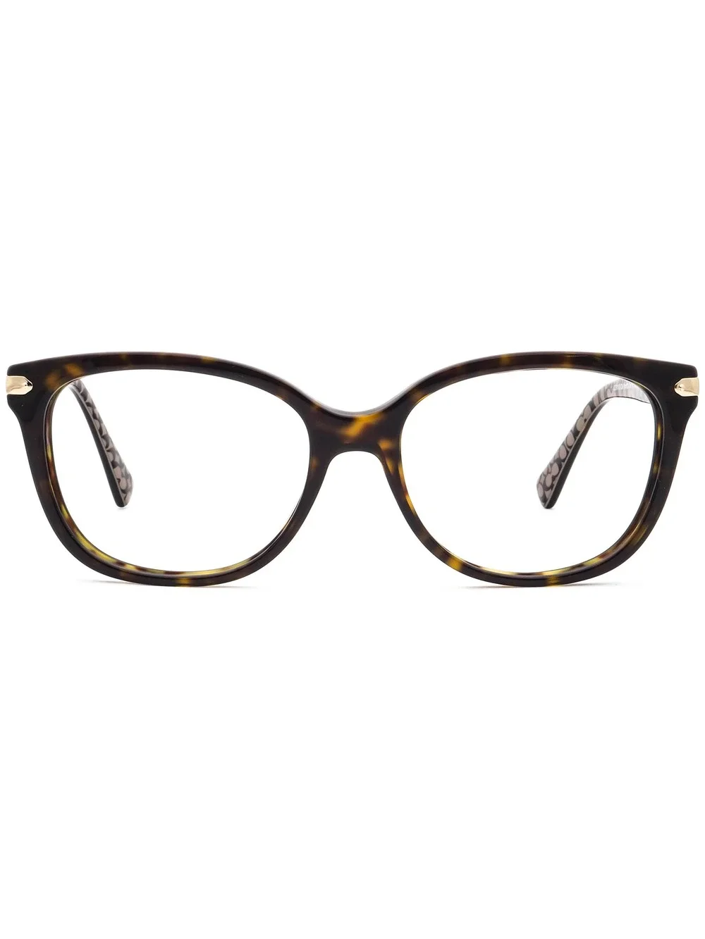 Coach HC 8132 (L109) 529113 Eyewear